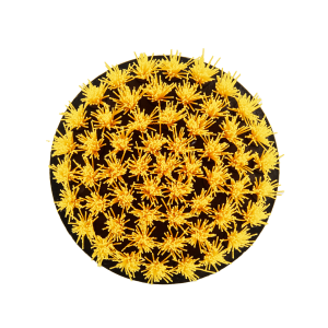 Glosswork Drill Brush Medium Щетка для чистки ковров, средней жесткости, под дрель