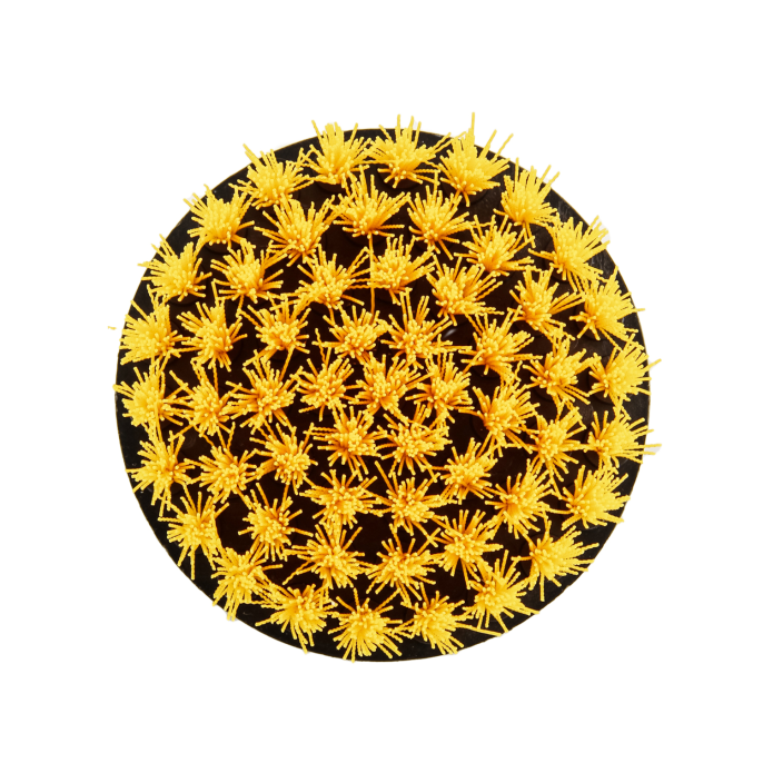 Glosswork Drill Brush Medium Щетка для чистки ковров, средней жесткости, под дрель